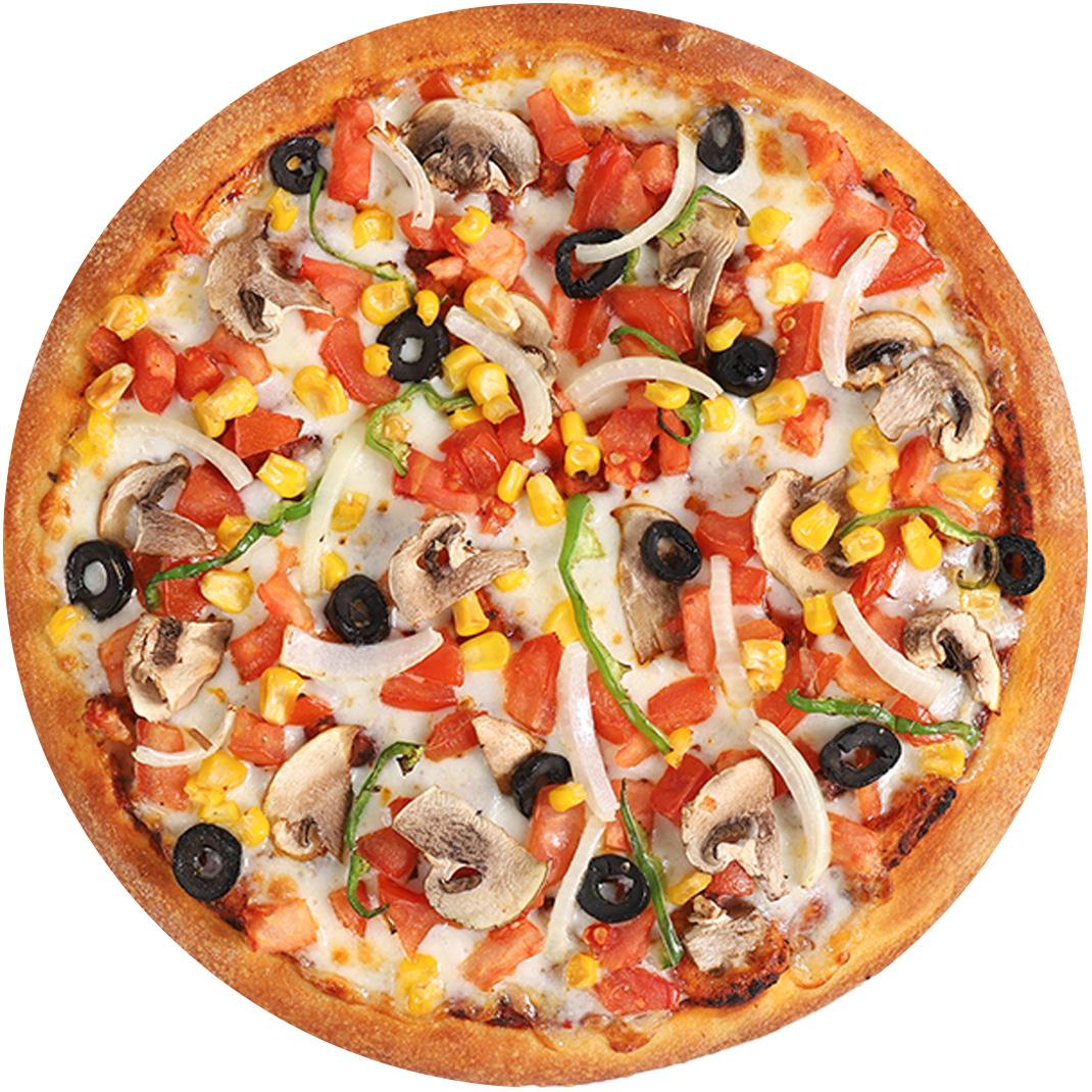 VEJETARYEN PİZZA